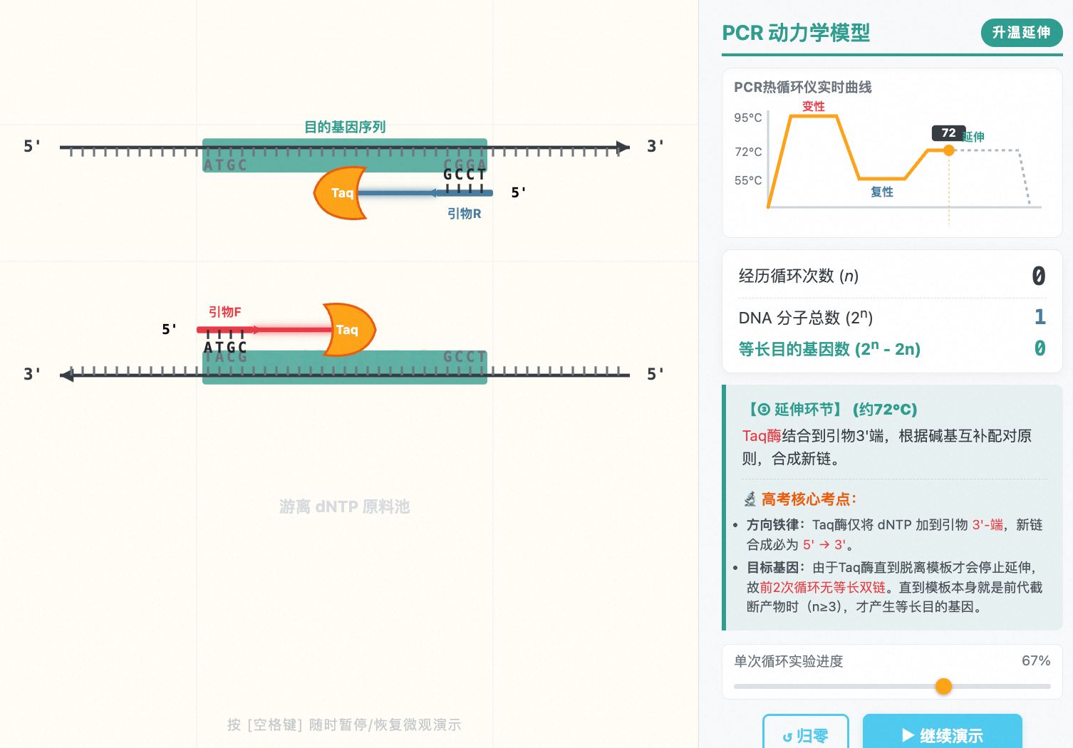 PCR扩增技术原理与微观动态模型